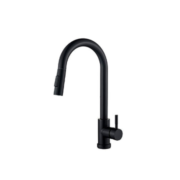 Two Function Single Handle Pull Out Black Kitchen Faucet